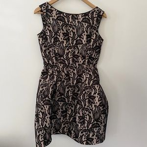 Zara woman black and nude lace structured dress